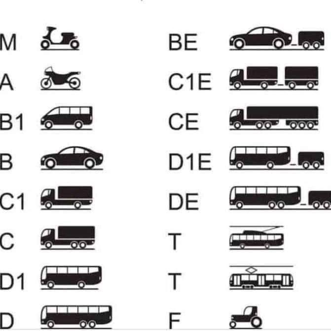 Rijbewijs koop